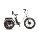 ZT-80A Trailer - Elektrický trojkolesový bicykel